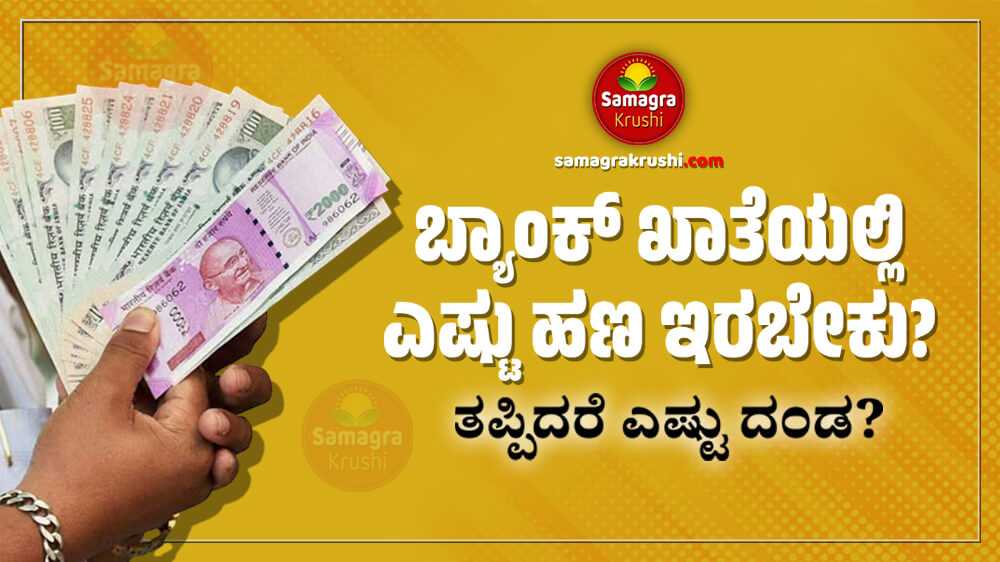 ನಿಮ್ಮ ಬ್ಯಾಂಕ್ ಖಾತೆಯಲ್ಲಿ ಎಷ್ಟು ಹಣ ಇರಬೇಕು? | ತಪ್ಪಿದರೆ ಯಾವ್ಯಾವ ಬ್ಯಾಂಕಿನಿಂದ ಎಷ್ಟೆಷ್ಟು ದಂಡ ಬೀಳುತ್ತೆ?