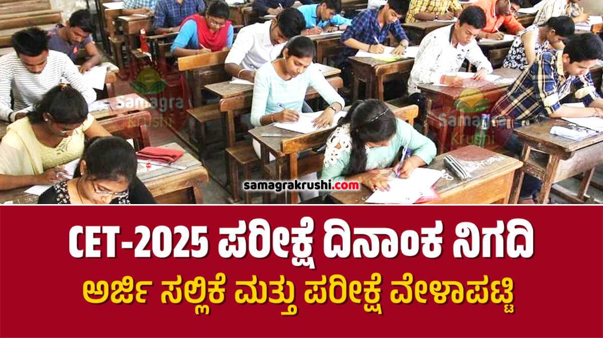 ಒಂದೇ ದಿನ 5 ಸಿಇಟಿ ಪರೀಕ್ಷೆ ದಿನಾಂಕ ನಿಗದಿ | ಅರ್ಜಿ ಸಲ್ಲಿಕೆ ಮತ್ತು ಪರೀಕ್ಷೆ ವೇಳಾಪಟ್ಟಿ ಇಲ್ಲಿದೆ... KCET 2025 Exam Schedule