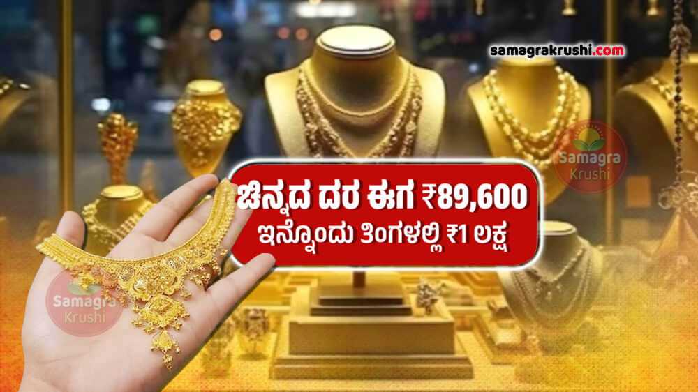 ಚಿನ್ನದ ದರ ಈಗ 89,600 ರೂಪಾಯಿ | ಇನ್ನೊಂದು ತಿಂಗಳಲ್ಲಿ ಲಕ್ಷ ರೂಪಾಯಿ Gold Price Rise