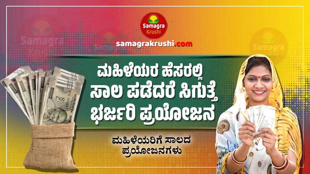 Loan benefits for Womens : ಮಹಿಳೆಯರ ಹೆಸರಿನಲ್ಲಿ ಸಾಲ ಪಡೆದರೆ ಸಿಗುತ್ತೆ ಭರ್ಜರಿ ಪ್ರಯೋಜನ | ಗೃಹ ಸಾಲದಲ್ಲಿ ಮಹಿಳೆಯರಿಗೆ ಸಿಗುವ ಪ್ರಯೋಜನಳು ಇಲ್ಲಿವೆ...